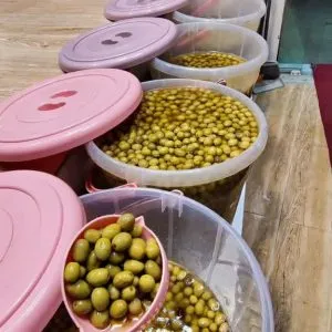 زیتون شور جنگلی