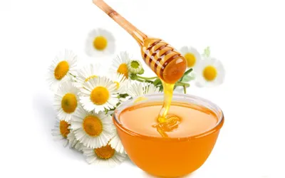 شناخت عسل اصل از تقلبی