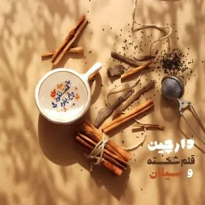 ادویه دارچین