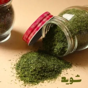 شوید خشک