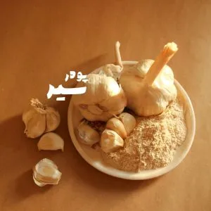 چاشنی پودر سیر
